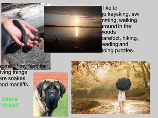 Sirena Vowell I like to go kayaking, swimming, walking around in the woods barefoot, hiking, reading and doing puzzles.            some of my favorite living things  are snakes  and mastiffs. Sirena Vowell 