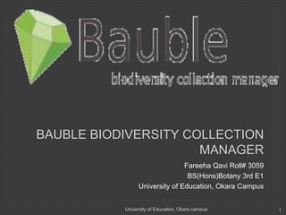 BAUBLE BIODIVERSITY COLLECTION 
MANAGER 
Fareeha Qavi Roll# 3059 
BS(Hons)Botany 3rd E1 
University of Education, Okara Campus 
University of Education, Okara campus 1 
 