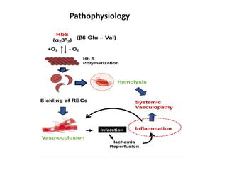 105 Hemolytic anemia-1 thalassemia and sickle cell anemia | PPTX