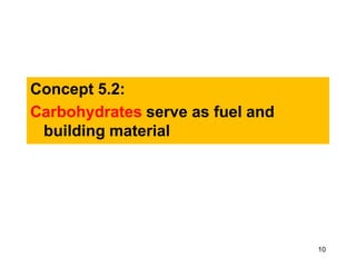 Concept 5.2:
Carbohydrates serve as fuel and
building material
10
 