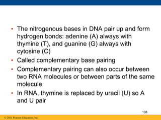 • The nitrogenous bases in DNA pair up and form
hydrogen bonds: adenine (A) always with
thymine (T), and guanine (G) always with
cytosine (C)
• Called complementary base pairing
• Complementary pairing can also occur between
two RNA molecules or between parts of the same
molecule
• In RNA, thymine is replaced by uracil (U) so A
and U pair
© 2011 Pearson Education, Inc.
108
 