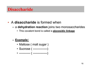 Disaccharide
• A disaccharide is formed when
– a dehydration reaction joins two monosaccharides
• This covalent bond is called a glycosidic linkage
– Example:
• Maltose ( malt sugar )
• Sucrose ( --------------)
• ----------- ( --------------)
18
 