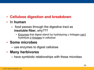 • Cellulose digestion and breakdown
• In human
– food passes through the digestive tract as
insoluble fiber, why???
• Enzymes that digest starch by hydrolyzing  linkages can’t
hydrolyze  linkages in cellulose
• Some microbes
– use enzymes to digest cellulose
• Many herbivores
– have symbiotic relationships with these microbes
© 2011 Pearson Education, Inc.
29
 