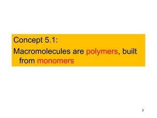 Concept 5.1:
Macromolecules are polymers, built
from monomers
3
 