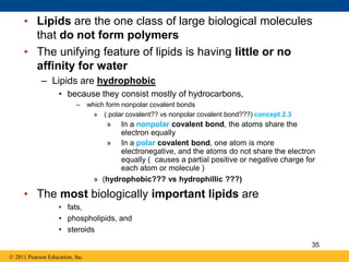 • Lipids are the one class of large biological molecules
that do not form polymers
• The unifying feature of lipids is having little or no
affinity for water
– Lipids are hydrophobic
• because they consist mostly of hydrocarbons,
– which form nonpolar covalent bonds
» ( polar covalent?? vs nonpolar covalent bond???) concept 2.3
» In a nonpolar covalent bond, the atoms share the
electron equally
» In a polar covalent bond, one atom is more
electronegative, and the atoms do not share the electron
equally ( causes a partial positive or negative charge for
each atom or molecule )
» (hydrophobic??? vs hydrophillic ???)
• The most biologically important lipids are
• fats,
• phospholipids, and
• steroids
© 2011 Pearson Education, Inc.
35
 