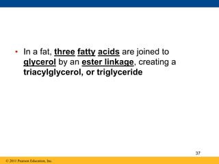 © 2011 Pearson Education, Inc.
• In a fat, three fatty acids are joined to
glycerol by an ester linkage, creating a
triacylglycerol, or triglyceride
37
 