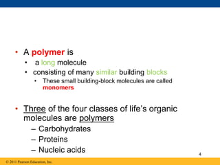 • A polymer is
• a long molecule
• consisting of many similar building blocks
• These small building-block molecules are called
monomers
• Three of the four classes of life’s organic
molecules are polymers
– Carbohydrates
– Proteins
– Nucleic acids
© 2011 Pearson Education, Inc.
4
 