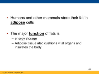 • Humans and other mammals store their fat in
adipose cells
• The major function of fats is
– energy storage
– Adipose tissue also cushions vital organs and
insulates the body
© 2011 Pearson Education, Inc.
46
 