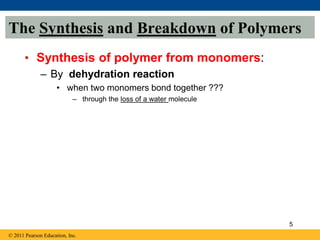 • Synthesis of polymer from monomers:
– By dehydration reaction
• when two monomers bond together ???
– through the loss of a water molecule
The Synthesis and Breakdown of Polymers
© 2011 Pearson Education, Inc.
5
 