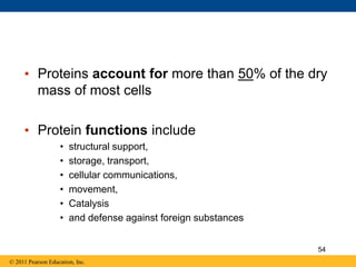 • Proteins account for more than 50% of the dry
mass of most cells
• Protein functions include
• structural support,
• storage, transport,
• cellular communications,
• movement,
• Catalysis
• and defense against foreign substances
© 2011 Pearson Education, Inc.
54
 