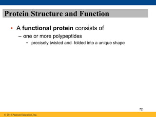 Protein Structure and Function
• A functional protein consists of
– one or more polypeptides
• precisely twisted and folded into a unique shape
© 2011 Pearson Education, Inc.
72
 