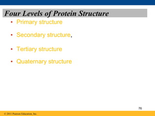 Four Levels of Protein Structure
• Primary structure
• Secondary structure,
• Tertiary structure
• Quaternary structure
© 2011 Pearson Education, Inc.
76
 