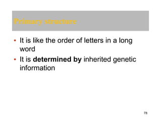 Primary structure
• It is like the order of letters in a long
word
• It is determined by inherited genetic
information
78
 