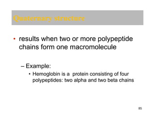 Quaternary structure
• results when two or more polypeptide
chains form one macromolecule
– Example:
• Hemoglobin is a protein consisting of four
polypeptides: two alpha and two beta chains
85
 