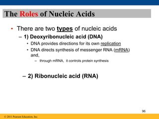 The Roles of Nucleic Acids
• There are two types of nucleic acids
– 1) Deoxyribonucleic acid (DNA)
• DNA provides directions for its own replication
• DNA directs synthesis of messenger RNA (mRNA)
and,
– through mRNA, it controls protein synthesis
– 2) Ribonucleic acid (RNA)
© 2011 Pearson Education, Inc.
96
 