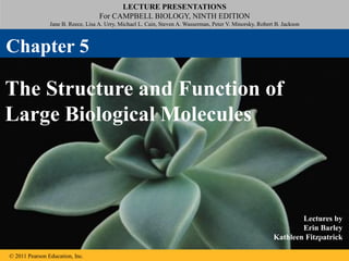 LECTURE PRESENTATIONS
For CAMPBELL BIOLOGY, NINTH EDITION
Jane B. Reece, Lisa A. Urry, Michael L. Cain, Steven A. Wasserman, Peter V. Minorsky, Robert B. Jackson
© 2011 Pearson Education, Inc.
Lectures by
Erin Barley
Kathleen Fitzpatrick
The Structure and Function of
Large Biological Molecules
Chapter 5
1
 
