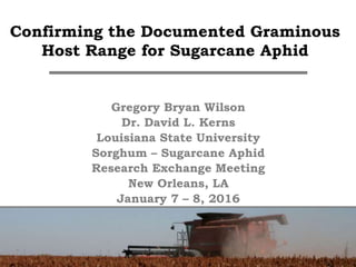 Confirming the Documented Graminous
Host Range for Sugarcane Aphid
Gregory Bryan Wilson
Dr. David L. Kerns
Louisiana State University
Sorghum – Sugarcane Aphid
Research Exchange Meeting
New Orleans, LA
January 7 – 8, 2016
 