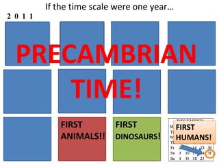 If the time scale were one year…PRECAMBRIAN TIME!FIRST ANIMALS!!FIRST DINOSAURS!FIRST HUMANS!