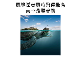風箏逆著風時飛得最高
而不是順著風
 
