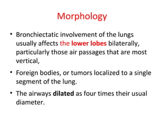 Morphology
• Bronchiectatic involvement of the lungs
usually affects the lower lobes bilaterally,
particularly those air passages that are most
vertical,
• Foreign bodies, or tumors localized to a single
segment of the lung.
• The airways dilated as four times their usual
diameter.
 
