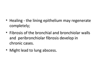 • Healing - the lining epithelium may regenerate
completely;
• Fibrosis of the bronchial and bronchiolar walls
and peribronchiolar fibrosis develop in
chronic cases.
• Might lead to lung abscess.
 
