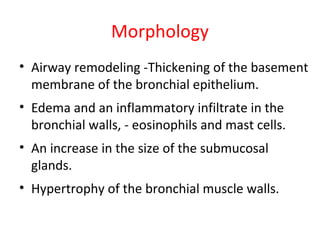 Morphology
• Airway remodeling -Thickening of the basement
membrane of the bronchial epithelium.
• Edema and an inflammatory infiltrate in the
bronchial walls, - eosinophils and mast cells.
• An increase in the size of the submucosal
glands.
• Hypertrophy of the bronchial muscle walls.
 