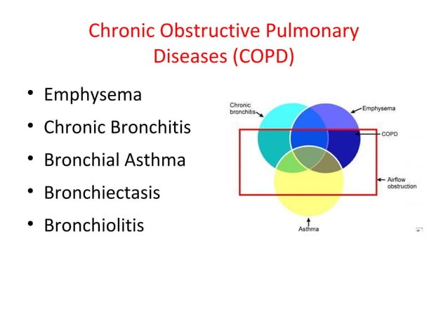 CHRONIC OBSTRUCTIVE PULMONARY DISEASES (COPD) | PPT