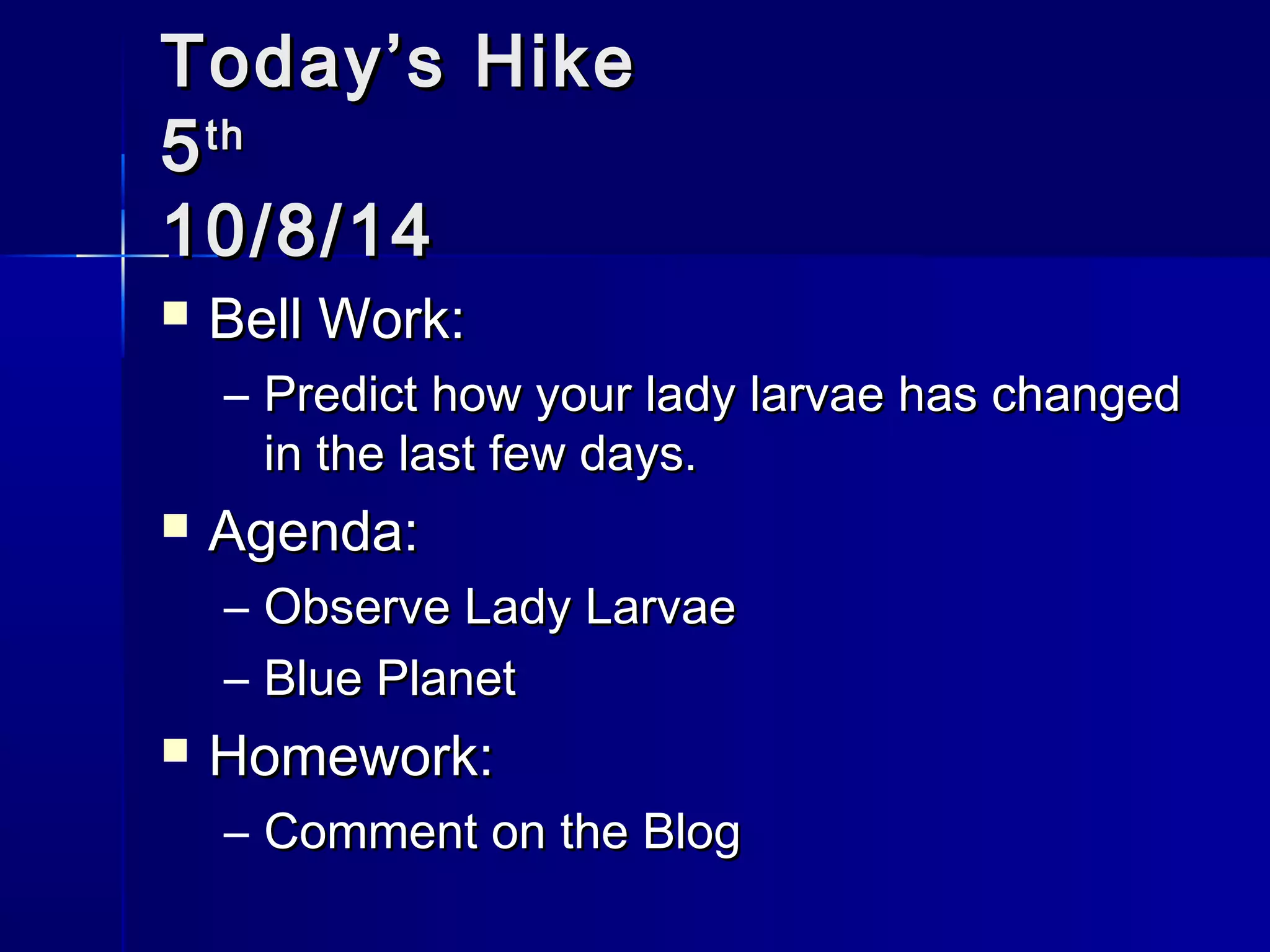TTooddaayy’’ss HHiikkee 
55tthh 
1100//88//1144 
 BBeellll WWoorrkk:: 
– PPrreeddiicctt hhooww yyoouurr llaaddyy llaarrvvaaee hhaass cchhaannggeedd 
iinn tthhee llaasstt ffeeww ddaayyss.. 
 AAggeennddaa:: 
– OObbsseerrvvee LLaaddyy LLaarrvvaaee 
– BBlluuee PPllaanneett 
 HHoommeewwoorrkk:: 
– CCoommmmeenntt oonn tthhee BBlloogg 
 