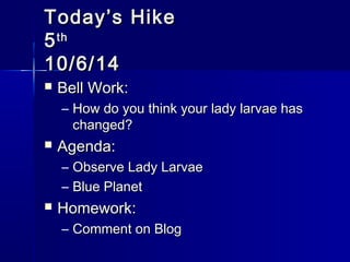 TTooddaayy’’ss HHiikkee 
55tthh 
1100//66//1144 
 BBeellll WWoorrkk:: 
– HHooww ddoo yyoouu tthhiinnkk yyoouurr llaaddyy llaarrvvaaee hhaass 
cchhaannggeedd?? 
 AAggeennddaa:: 
– OObbsseerrvvee LLaaddyy LLaarrvvaaee 
– BBlluuee PPllaanneett 
 HHoommeewwoorrkk:: 
– CCoommmmeenntt oonn BBlloogg 
 