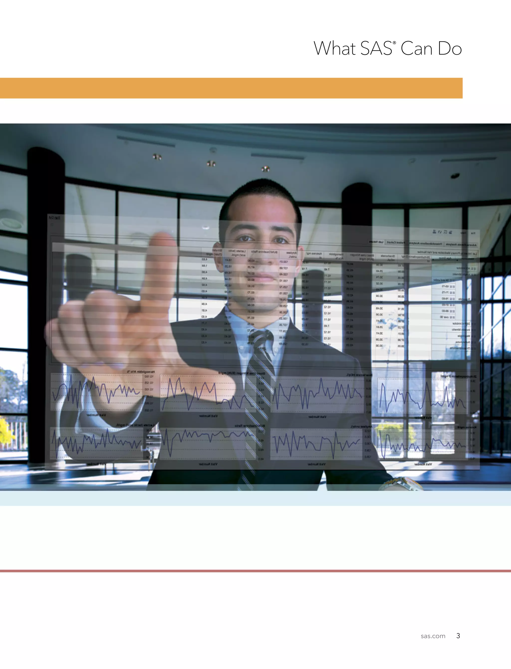 sas.com 3
What SAS®
Can Do
 