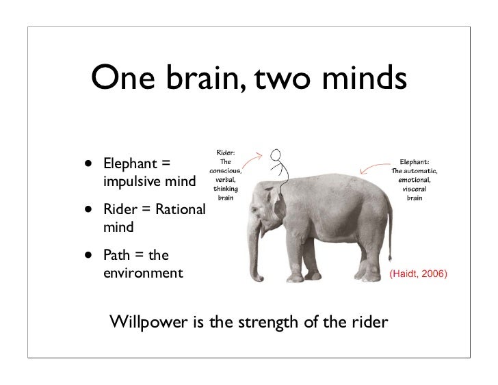 One brain, two minds• Elephant