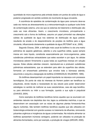 19



quantidade de micro-organismos pela entrada destes em pontos de saída de água e
posterior progressão em sentido contrário do movimento da água circulante.
      A ocorrência de episódios de contaminação da água para consumo deve-se
cada vez menos ao atravessamento ou a retrocontaminação ou qualquer outra fonte
de contaminação externa, uma vez que os sistemas de tratamento e distribuição são
cada vez mais eficientes. Assim, o crescimento microbiano, principalmente o
crescimento sob a forma de biofilmes, assume um papel primordial nas alterações
súbitas da qualidade da água nos sistemas de distribuição de água potável,
resultante da erosão e do desprendimento de porções do biofilme para a água
circulante, influenciando diretamente a qualidade da água (PETGNAT et al., 2006).
      Segundo Chaves, 2004, a definição mais usual de biofilme é a de uma matriz
polimérica de aspecto gelatinoso, aderida a uma superfície sólida, quase sempre
imersa em meio líquido, constituída essencialmente por micro-organismos, pelas
substâncias poliméricas extracelulares que estes excretam e por água. As células
microbianas aderem firmemente a quase todas as superfícies imersas em solução
aquosa. Estas células aderidas crescem, reproduzem-se e produzem substâncias
poliméricas extracelulares, que se estendem para além da superfície das células,
formando um emaranhado polimérico que envolve toda a biomassa aderida,
assumindo o conjunto a designação de biofilme (CHARACKLIS; WILDERER, 1989).
      Os biofilmes desempenham um papel importante na natureza e em processos
tecnológicos. Do ponto de vista do interesse do Homem podem ser benéficos ou
prejudiciais, donde resulta a necessidade do seu estudo para poder desenvolver
estratégias no sentido de melhorar as suas características, caso ele seja benéfico,
ou para eliminá-lo ou inibir a sua formação, quando a sua ação é prejudicial
(CHAVES, 2004).
      Como exemplos de biofilmes benéficos temos aqueles que se acumulam em
ambientes naturais nos depósitos dos rios, lagos ou ambientes marinhos, e que se
desenvolvem em associação com as raízes de algumas plantas fornecendo-lhes
alguns nutrientes. São também biofilmes benéficos aqueles que são utilizados em
biotecnologia ambiental com grande sucesso no tratamento de efluentes, removendo
poluentes orgânicos e inorgânicos de águas contaminadas. Na indústria alimentar os
biofilmes apresentam inúmeras vantagens, podendo ser utilizados na produção de
alimentos fermentados, como por exemplo, a produção de vinagre (ARCURI, 2000).
 