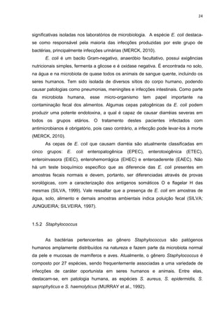24



significativas isoladas nos laboratórios de microbiologia. A espécie E. coli destaca-
se como responsável pela maioria das infecções produzidas por este grupo de
bactérias, principalmente infecções urinárias (MERCK, 2010).
        E. coli é um bacilo Gram-negativo, anaeróbio facultativo, possui exigências
nutricionais simples, fermenta a glicose e é oxidase negativa. É encontrada no solo,
na água e na microbiota de quase todos os animais de sangue quente, incluindo os
seres humanos. Tem sido isolada de diversos sítios do corpo humano, podendo
causar patologias como pneumonias, meningites e infecções intestinais. Como parte
da   microbiota   humana,      esse   micro-organismo   tem   papel   importante   na
contaminação fecal dos alimentos. Algumas cepas patogênicas da E. coli podem
produzir uma potente endotoxina, a qual é capaz de causar diarréias severas em
todos os grupos etários. O tratamento destes pacientes infectados com
antimicrobianos é obrigatório, pois caso contrário, a infecção pode levar-los à morte
(MERCK, 2010).
        As cepas de E. coli que causam diarréia são atualmente classificadas em
cinco   grupos:   E.   coli   enteropatogênica   (EPEC),   enterotoxigênica   (ETEC),
enteroinvasora (EIEC), enterohemorrágica (EHEC) e enteroaderente (EAEC). Não
há um teste bioquímico específico que as diferencie das E. coli presentes em
amostras fecais normais e devem, portanto, ser diferenciadas através de provas
sorológicas, com a caracterização dos antígenos somáticos O e flagelar H das
mesmas (SILVA, 1999). Vale ressaltar que a presença de E. coli em amostras de
água, solo, alimento e demais amostras ambientais indica poluição fecal (SILVA;
JUNQUEIRA; SILVEIRA, 1997).



1.5.2 Staphylococcus


        As bactérias pertencentes ao gênero Staphylococcus são patógenos
humanos amplamente distribuídos na natureza e fazem parte da microbiota normal
da pele e mucosas de mamíferos e aves. Atualmente, o gênero Staphylococcus é
composto por 27 espécies, sendo frequentemente associadas a uma variedade de
infecções de caráter oportunista em seres humanos e animais. Entre elas,
destacam-se, em patologia humana, as espécies S. aureus, S. epidermidis, S.
saprophyticus e S. haemolyticus (MURRAY et al., 1992).
 