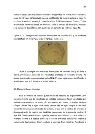 51



homogeneizado com movimentos circulares moderados em forma de oito invertido,
cerca de 10 vezes consecutivas. Após a solidificação do meio de cultura, a placa foi
incubada em estufa, na posição invertida a 35 ± 0,5°C durante 48 ± 3 horas. Todas
as amostras foram incubadas em triplicata. Findo o período de incubação, realizou-
se a contagem das colônias com auxílio de um contador de colônias, figura 10.



Figura 10 – Contagem das unidades formadoras de colônias (UFC), de bactérias
heterotróficas em meio PCA, após 48 horas de incubação.




       Após a contagem das unidades formadoras de colônias (UFC), foi feita a
média aritmética das triplicatas e os resultados, anotados em formulário próprio. As
placas foram então, encaminhadas ao LACEN-RR, para isolamento, identificação e
avaliação da susceptibilidade aos antimicrobianos.



3.3.4 Isolamento das bactérias


      Para a obtenção de culturas puras utilizou-se a técnica do esgotamento. Com
o auxilio de uma alça de inoculação, os isolados bacterianos foram inoculados, por
meio de uma sequência de estrias não sobrepostas, em placas contendo meio ágar
sangue (BIOBRÁS) e ágar MacConkey (BIOBRÁS). O ágar sangue é um meio
acrescido de sangue desfibrinado de carneiro, o qual tem o objetivo de propiciar o
desenvolvimento da maioria das bactérias patogênicas de importância médica. O
ágar MacConkey contém como agentes seletivos sais biliares, o cristal violeta, o
vermelho neutro e a lactose, sendo que os dois primeiros constituintes inibem o
crescimento das bactérias Gram-positivas e algumas Gram-negativas fastidiosas e
 