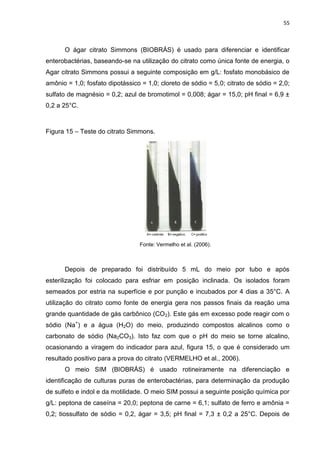 55



      O ágar citrato Simmons (BIOBRÁS) é usado para diferenciar e identificar
enterobactérias, baseando-se na utilização do citrato como única fonte de energia, o
Agar citrato Simmons possui a seguinte composição em g/L: fosfato monobásico de
amônio = 1,0; fosfato dipotássico = 1,0; cloreto de sódio = 5,0; citrato de sódio = 2,0;
sulfato de magnésio = 0,2; azul de bromotimol = 0,008; ágar = 15,0; pH final = 6,9 ±
0,2 a 25°C.



Figura 15 – Teste do citrato Simmons.




                                 Fonte: Vermelho et al. (2006).



      Depois de preparado foi distribuído 5 mL do meio por tubo e após
esterilização foi colocado para esfriar em posição inclinada. Os isolados foram
semeados por estria na superfície e por punção e incubados por 4 dias a 35°C. A
utilização do citrato como fonte de energia gera nos passos finais da reação uma
grande quantidade de gás carbônico (CO2). Este gás em excesso pode reagir com o
sódio (Na+) e a água (H2O) do meio, produzindo compostos alcalinos como o
carbonato de sódio (Na2CO3). Isto faz com que o pH do meio se torne alcalino,
ocasionando a viragem do indicador para azul, figura 15, o que é considerado um
resultado positivo para a prova do citrato (VERMELHO et al., 2006).
      O meio SIM (BIOBRÁS) é usado rotineiramente na diferenciação e
identificação de culturas puras de enterobactérias, para determinação da produção
de sulfeto e indol e da motilidade. O meio SIM possui a seguinte posição química por
g/L: peptona de caseína = 20,0; peptona de carne = 6,1; sulfato de ferro e amônia =
0,2; tiossulfato de sódio = 0,2, ágar = 3,5; pH final = 7,3 ± 0,2 a 25°C. Depois de
 