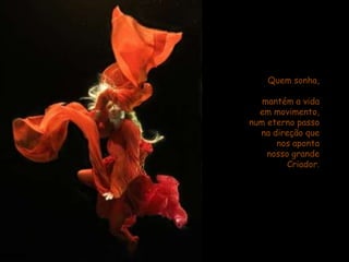 Quem sonha, mantém a vida                        em movimento,                    num eterno passo                   na direção que                      nos aponta                        nosso grande                     Criador.