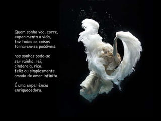 Quem sonha voa, corre, experimenta a vida,                  faz todas as coisas tornarem-se possíveis; nos sonhos pode-se                 ser rainha, rei, cinderela, rico,                    feliz ou simplesmente amado de amor infinito. É uma experiência enriquecedora.
