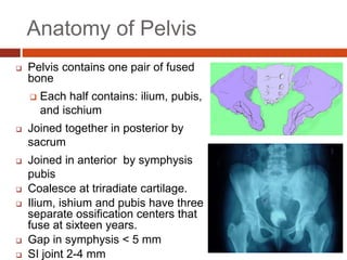 Anatomy of Pelvis
 Pelvis contains one pair of fused
bone
 Each half contains: ilium, pubis,
and ischium
 Joined together in posterior by
sacrum
 Joined in anterior by symphysis
pubis
 Coalesce at triradiate cartilage.
 Ilium, ishium and pubis have three
separate ossification centers that
fuse at sixteen years.
 Gap in symphysis < 5 mm
 SI joint 2-4 mm
 