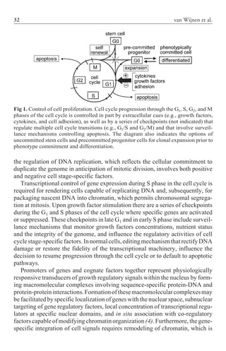 Cell Cycle Inhibitors In Cancer Therapy Cancer Drug Discovery And ...