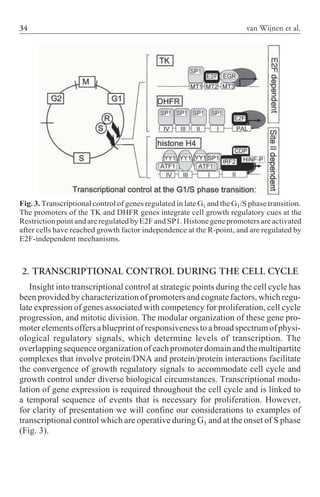 Cell Cycle Inhibitors In Cancer Therapy Cancer Drug Discovery And ...