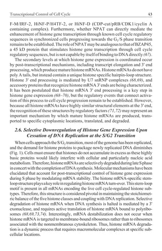 Cell Cycle Inhibitors In Cancer Therapy Cancer Drug Discovery And ...