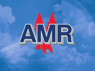 AMR Merrill Lynch Pres.