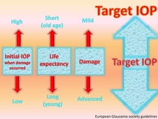 European Glaucoma society guidelines
 