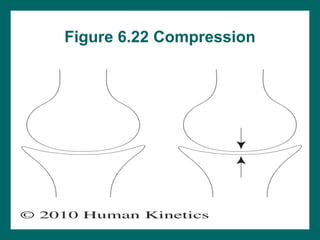 Joint Compression Handout.pdf Power Point Manual Therapy ------------- | PPT