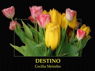 DESTINO Cecília Meireles 