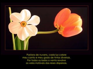 Pastora de nuvens, cada luz coloremeu canto e meu gado de tintas diversas.Por todos os lados o vento revolveos velos instáveis das reses dispersas.