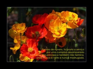 Pastora de nuvens, fui posta a serviçopor uma campina desamparadaque não principia e também não termina,onde nunca é noite e nunca madrugada.