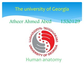 The university of Georgia
Atheer Ahmed Abed 1330129
Human anatomy
 