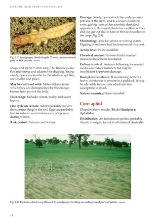 Pests Of Field Crops And Pastures Identification And Control Peter ...