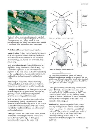 Pests Of Field Crops And Pastures Identification And Control Peter ...
